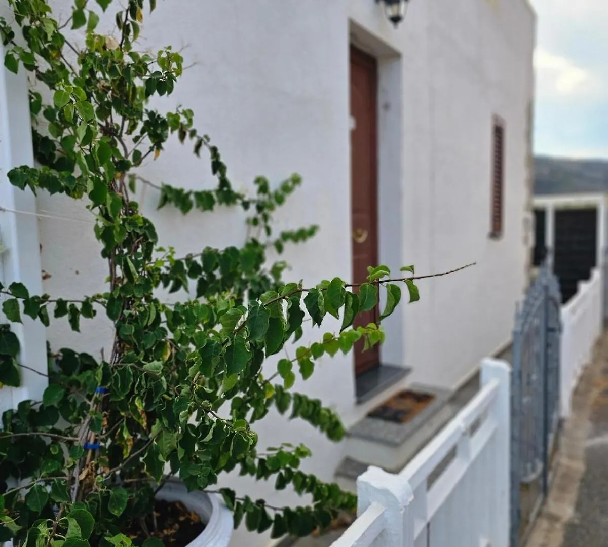 Apartamento Casa Pellegrino Solita 0*,